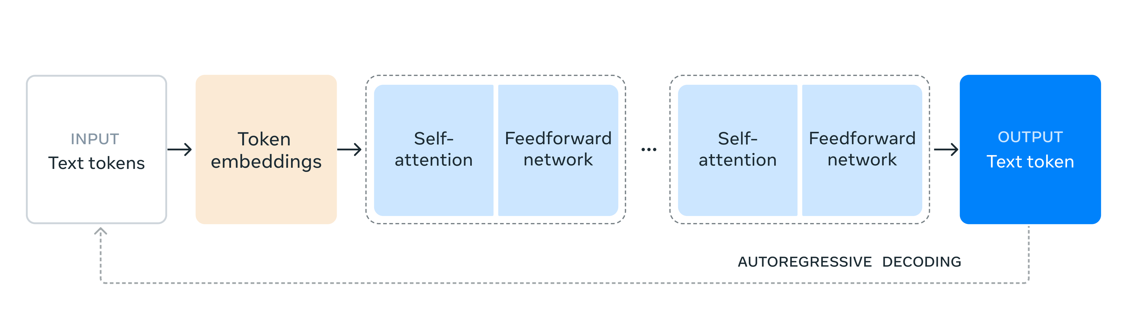 Model architecture and improvements